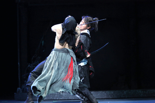 「里見八犬伝」（'14）　企画・製作：日本テレビ