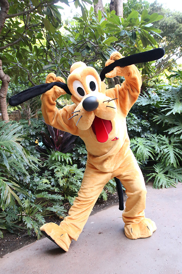 プルート／「アウラニ」グリーティング