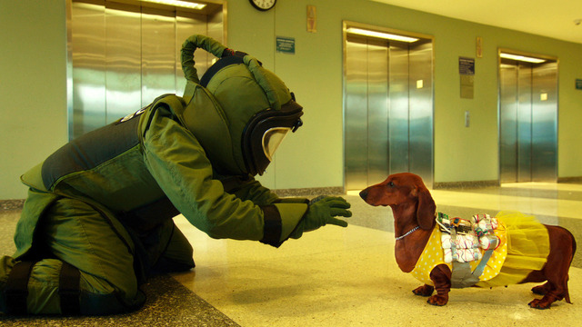 『トッド・ソロンズの子犬物語』(C)2015WHIFFLE BALLER,LLC.ALL RIGHTS RESERVED.