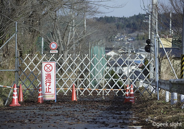 『1001のバイオリン』