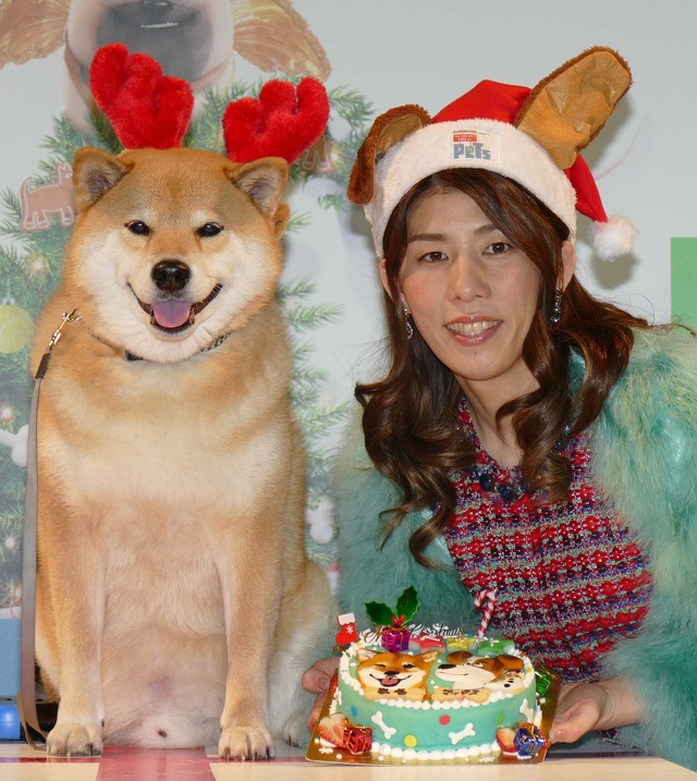 柴犬のまる＆吉田沙保里／『ペット』ブルーレイ＆DVD発売記念イベント