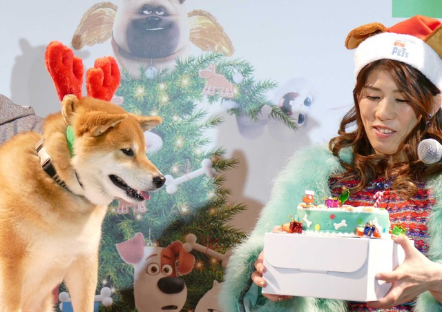 柴犬のまる＆吉田沙保里／『ペット』ブルーレイ＆DVD発売記念イベント