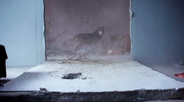 『ワイルド わたしの中の獣』 (C)2014 Heimatfilm GmbH + Co KG