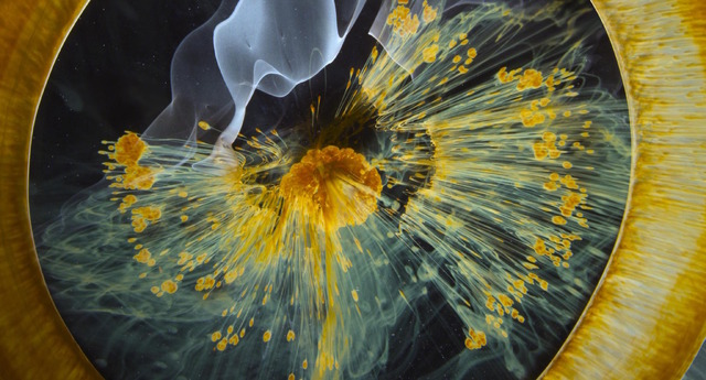 『ボヤージュ・オブ・タイム』　2016（C） Voyage of Time UG (haftungsbeschrankt). All Rights Reserved.