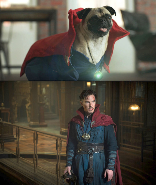 『ドクター・ストレンジ』（C）2016 MARVEL