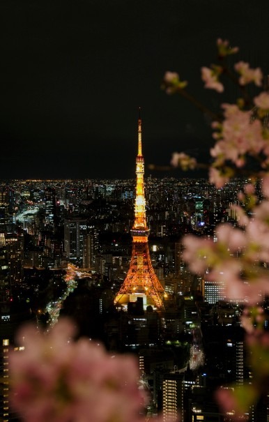 アンダーズ東京52F「ルーフ トップバー」で「さくら ガーデン」開催！