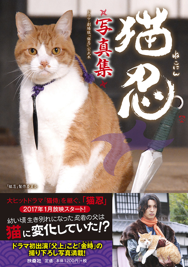 主演猫・金時写真集「猫忍写真集」発売：扶桑社、著：「猫忍」製作委員会
