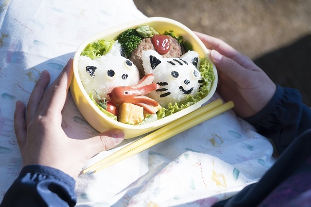 キャラ弁／『彼らが本気で編むときは、』（C）2017「彼らが本気で編むときは、」製作委員会