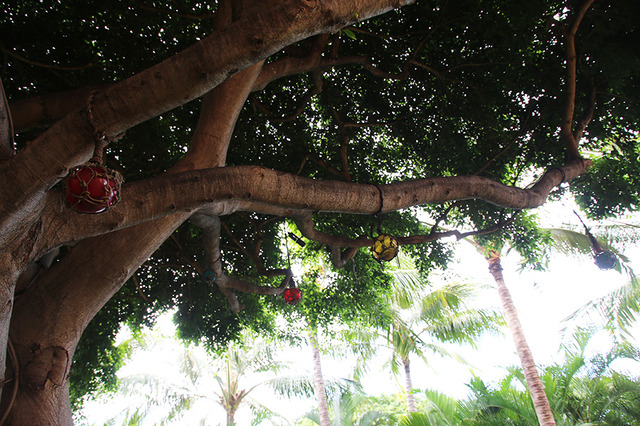 注目施設「アンティーズ・ビーチ・ハウス」