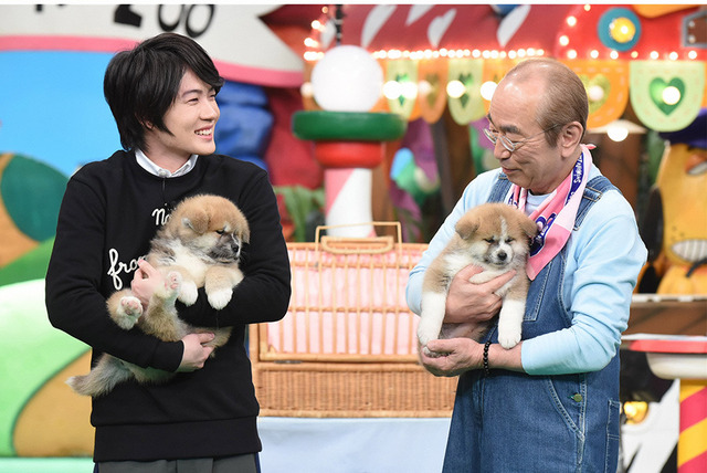 「天才！志村どうぶつ園」