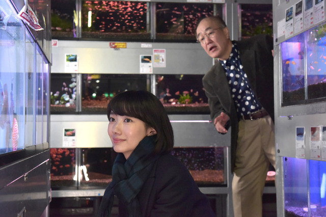 「北風の法廷・太陽の法廷」