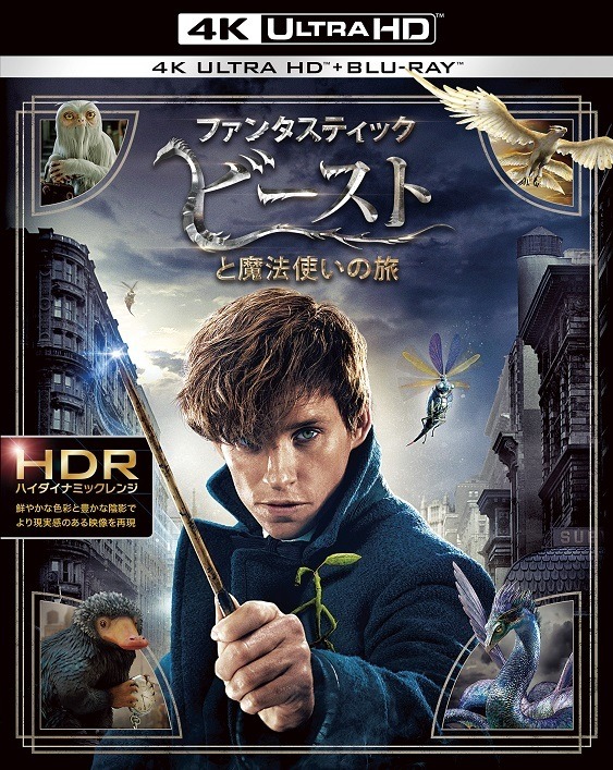 『ファンタスティック・ビーストと魔法使いの旅』4K ULTRA HD&3D&2D ブルーレイセット　(c) 2016 Warner Bros. Ent. All Rights Reserved. Harry Potter and Fantastic Beasts Publishing Rights (c) JKR.