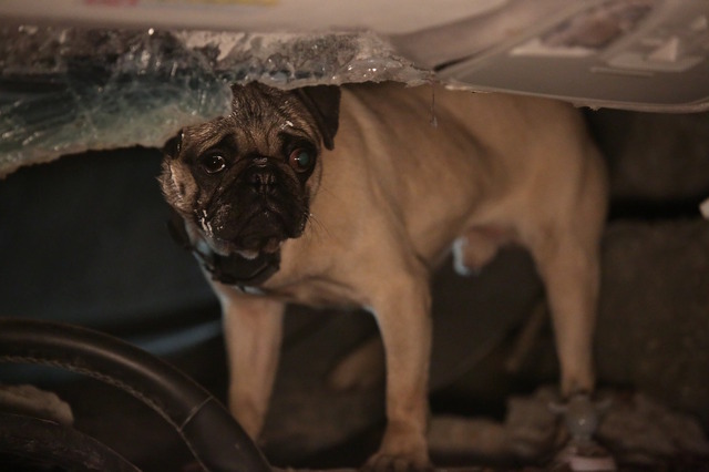 『トンネル 闇に鎖された男』 (C) 2016 SHOWBOX, ANOTHER SUNDAY, HISTORY E&M AND B.A. ENTERTAINMENT ALL RIGHTS RESERVED.