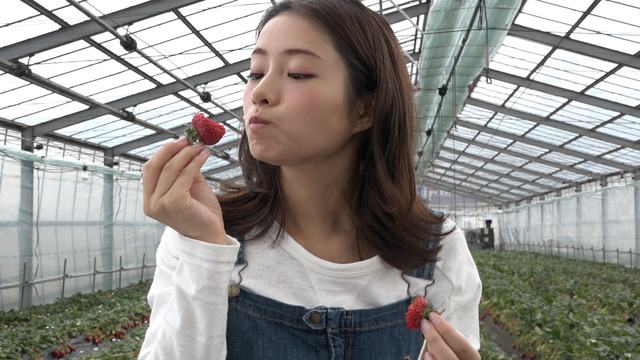 石原さとみ／東京メトロ「Find my Tokyo.」西船橋