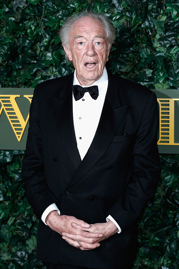 マイケル・ガンボン-(C)Getty Images