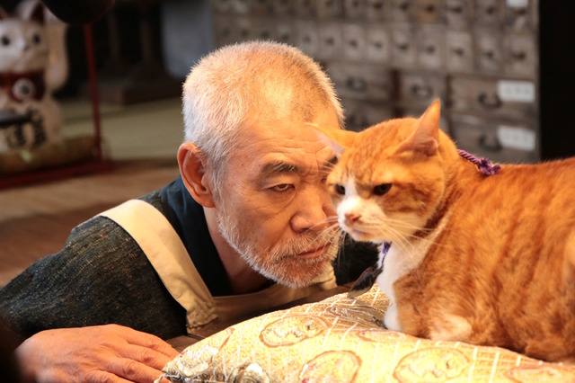 『猫忍』　(C)2017「猫忍」製作委員会