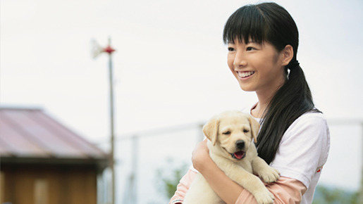 『きな子〜見習い警察犬の物語〜』 - (C) 2010「きな子〜見習い警察犬の物語〜」製作委員会