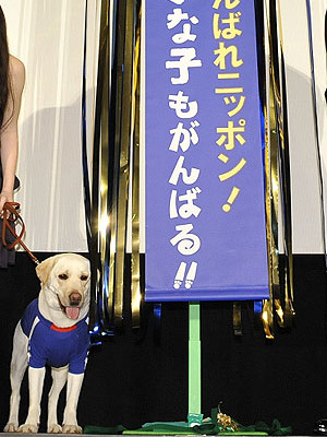 完成披露試写会に日本代表ユニフォーム姿で登場したきな子