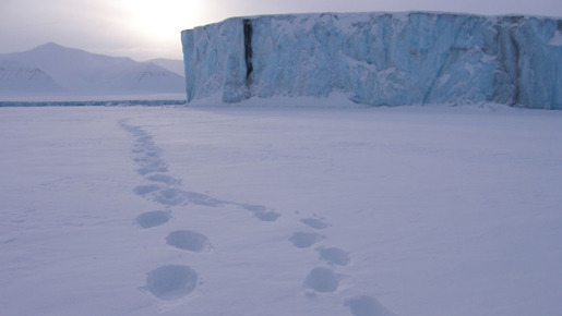 「BBC EARTH グレート・ネイチャー」　-(C) BBC Worldwide Limited 2010 Distributed under licence from 2 entertain Video Limited. All rights reserved.
