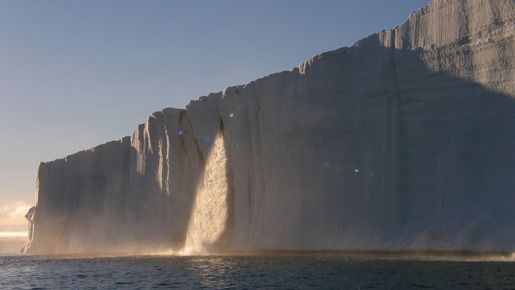 「BBC EARTH グレート・ネイチャー」　-(C) BBC Worldwide Limited 2010 Distributed under licence from 2 entertain Video Limited. All rights reserved.