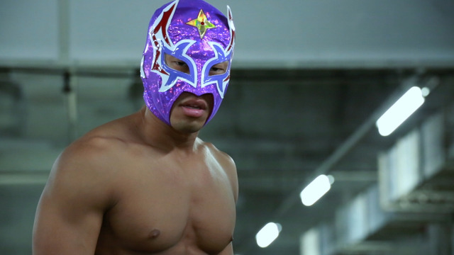 『エル・シュリケン vs 新昆虫デスキート』