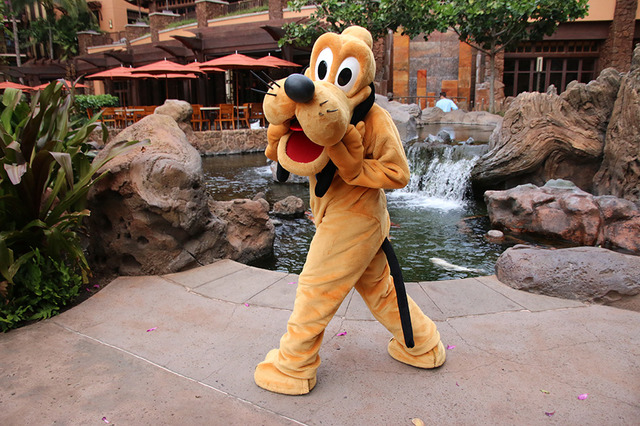 グリーティング「アウラニ・ディズニー・リゾート＆スパ コオリナ・ハワイ」