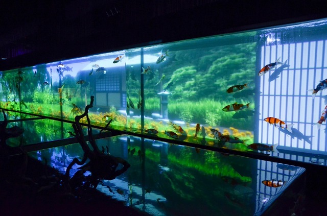 過去作品画像「水中四季絵巻」