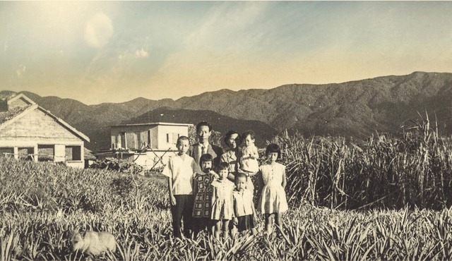 『海の彼方』(c) 2016 Moolin Films, Ltd.