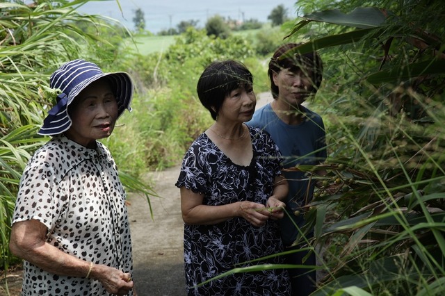 『海の彼方』(c) 2016 Moolin Films, Ltd.