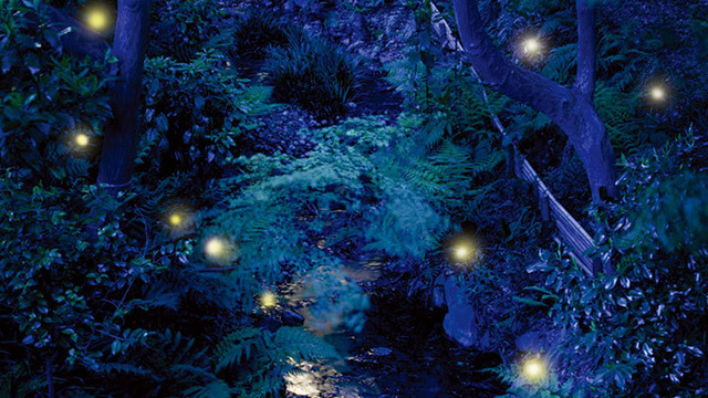 ふわりと蛍が舞う景色 「ホテル椿山荘東京」初夏の風物詩「ほたるの夕べ ディナーブッフェ」