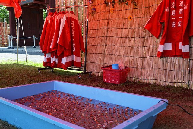 「HiGH＆LOW THE LAND」、「HiGH＆LOW THE MUSEUM」のプレス発表会＆内覧会