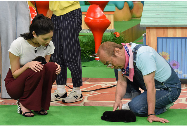 「天才！志村どうぶつ園」