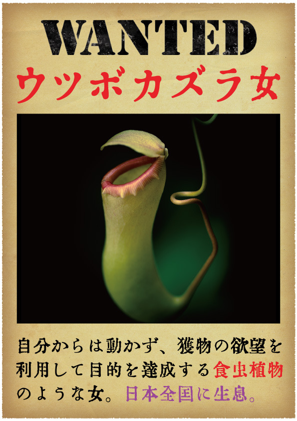 「ウツボカズラ女」イメージ画像