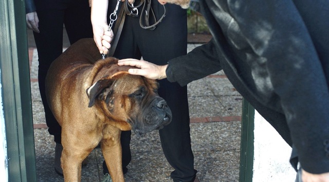 『しあわせな人生の選択』 (C) IMPOSIBLE FILMS, S.L. /TRUMANFILM A.I.E./BD CINE S.R.L. 2015