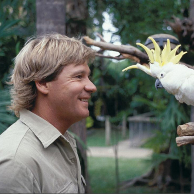 スティーヴ・アーウィン (c)instagram