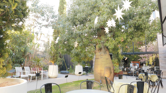 緑に囲まれながらいただきたい、休日ごはん。「代々木VILLAGE by kurkku」