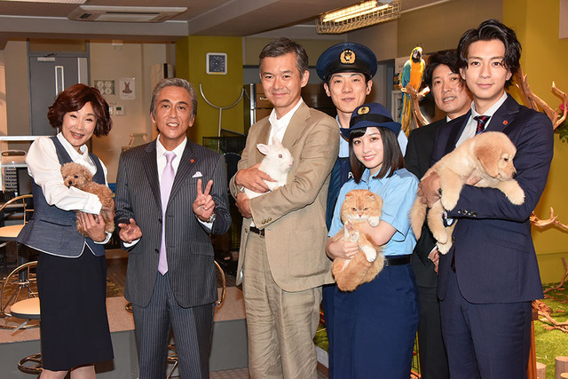 「警視庁いきもの係」制作会見