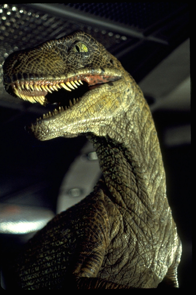 『ジュラシック・パーク』 (c)1993 Universal City Studios Inc. & Amblin Entertainment Inc. All Rights Reserved