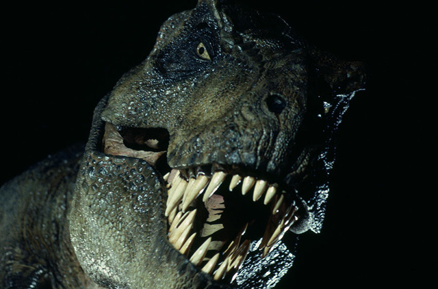 『ジュラシック・パーク』 (c)1993 Universal City Studios Inc. & Amblin Entertainment Inc. All Rights Reserved