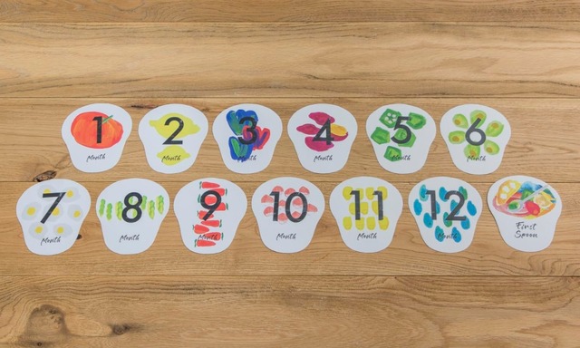 スープストックトーキョー「お母さんのための出産祝い スープセット」＿月齢カード