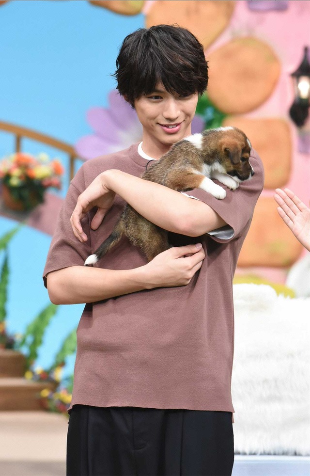 福士蒼汰／「天才!志村どうぶつ園」(C)NTV