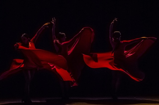 『パッション・フラメンコ』　（C）2016 NADIE ES PERFECTO BLINDSPOT