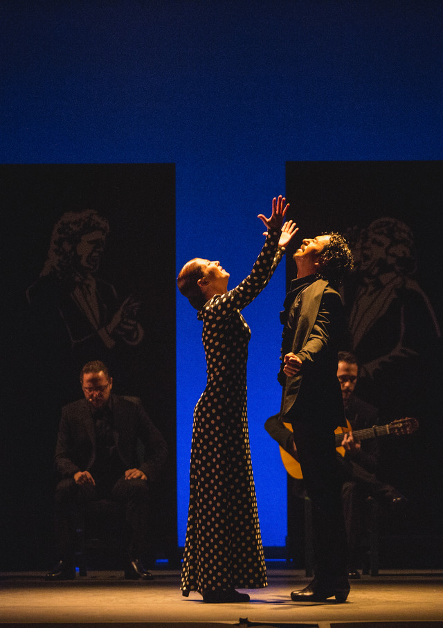 『パッション・フラメンコ』　（C）2016 NADIE ES PERFECTO BLINDSPOT