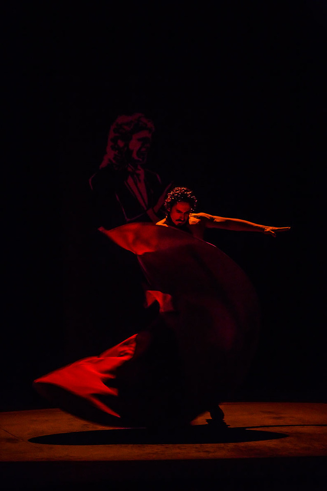 『パッション・フラメンコ』　（C）2016 NADIE ES PERFECTO BLINDSPOT