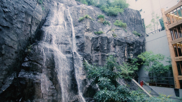 大自然のパワーを感じる…！ 滝を見ながら味わう絶品フレンチ