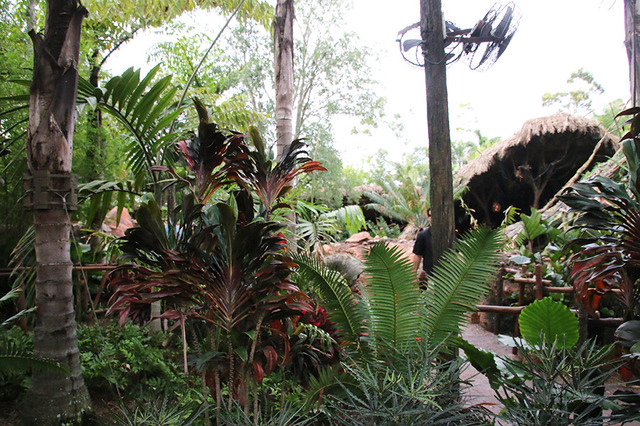 新テーマランド「パンドラ：ザ・ワールド・オブ・アバター」