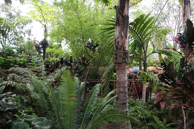 新テーマランド「パンドラ：ザ・ワールド・オブ・アバター」