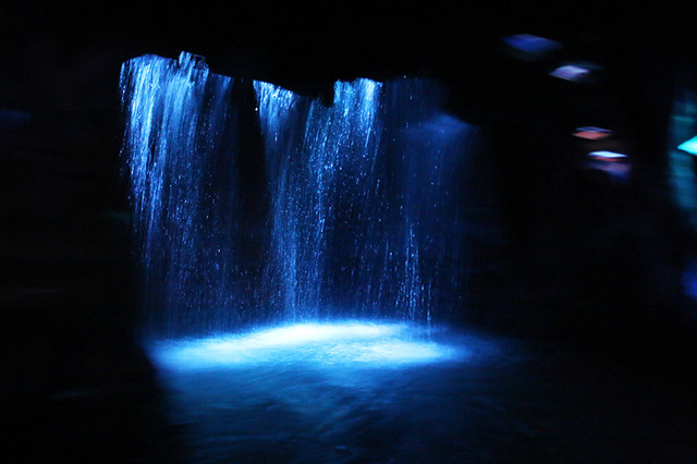 新テーマランド「パンドラ：ザ・ワールド・オブ・アバター」