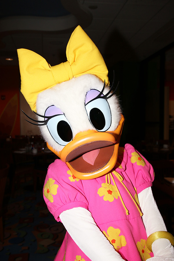 「ディズニーPCHグリル」