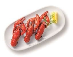 「ザリガニプレート」（349/3匹）